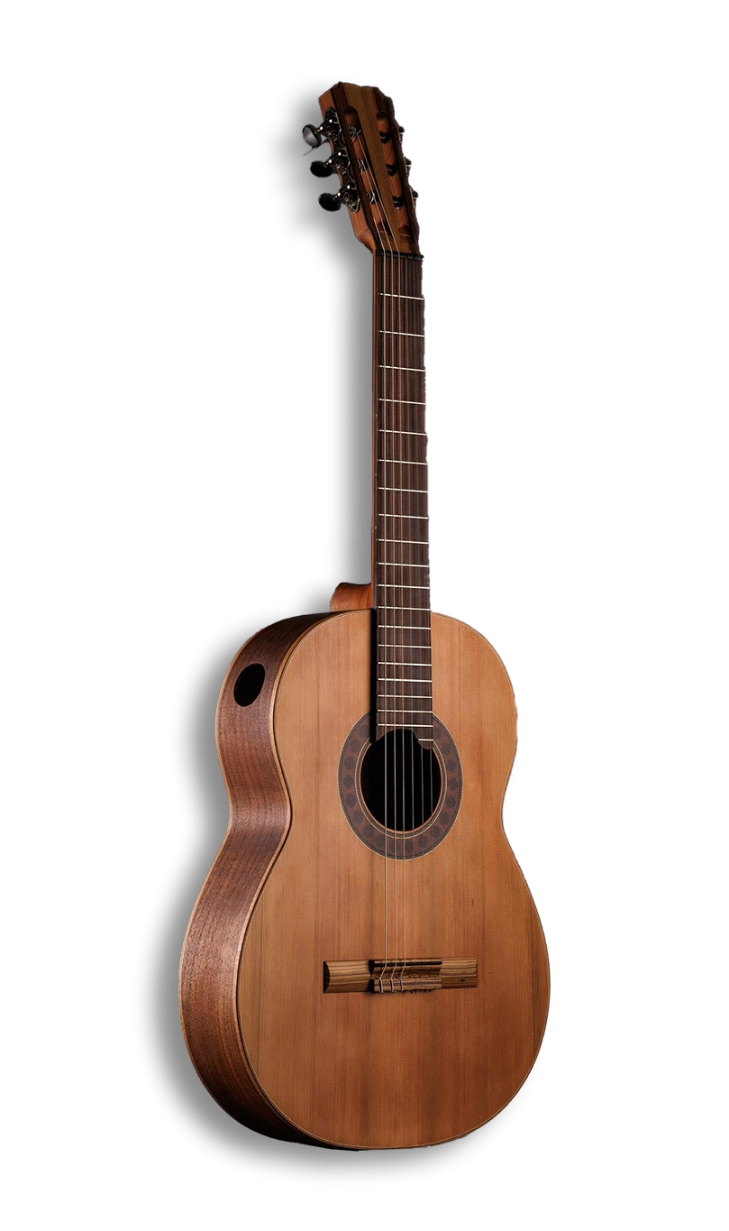 Guitarra Arranz